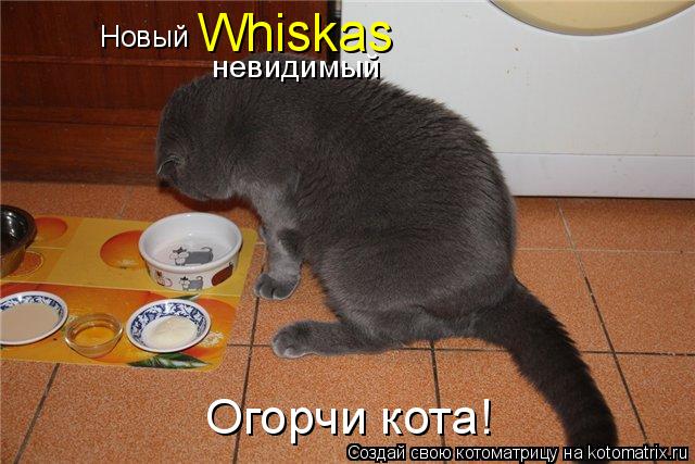 Новый Whiskas невидимый Огорчи кота!... Котоматрица: Новый Whiskas невидимый Огорчи кота!