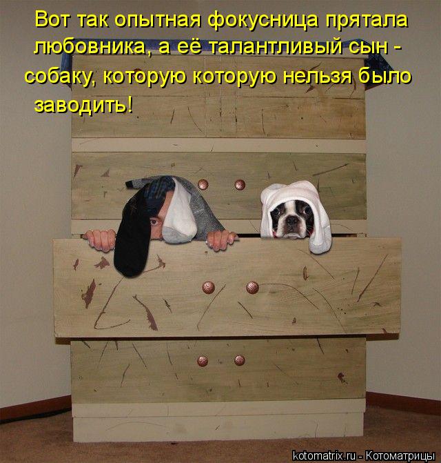 Вот так опытная фокусница прятала любовника, а её талантливый сын - собаку, которую которую нельзя ... Котоматрица: Вот так опытная фокусница прятала любовника, а её талантливый сын - собаку, которую которую нельзя было заводить!