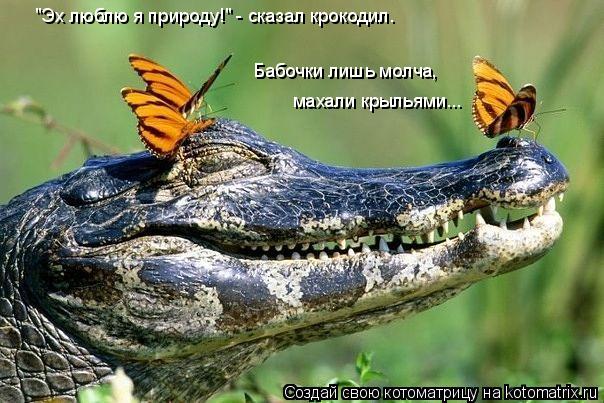 "Эх люблю я природу!" - сказал крокодил. махали крыльями... Бабочки лишь молча,... Котоматрица: "Эх люблю я природу!" - сказал крокодил. махали крыльями... Бабочки лишь молча,