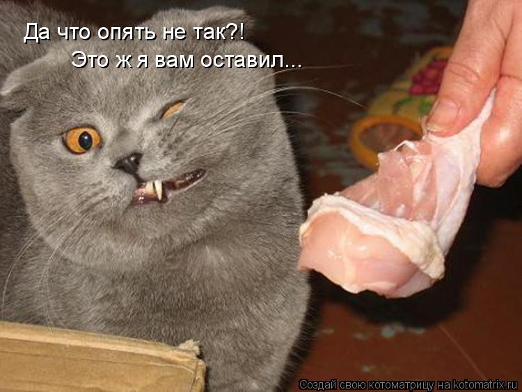 Да что опять не так?! Это ж я вам оставил...... Котоматрица: Да что опять не так?! Это ж я вам оставил...