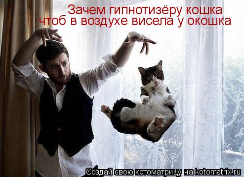 Зачем гипнотизёру кошка чтоб в воздухе висела у окошка... Котоматрица: Зачем гипнотизёру кошка чтоб в воздухе висела у окошка