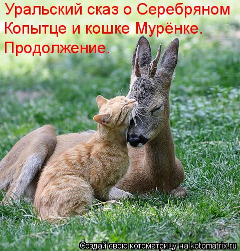 Уральский сказ о Серебряном Копытце и кошке Мурёнке. Продолжение.... Котоматрица: Уральский сказ о Серебряном Копытце и кошке Мурёнке. Продолжение.