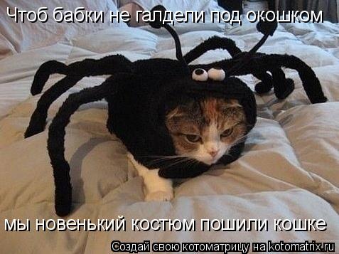 Чтоб бабки не галдели под окошком мы новенький костюм пошили кошке... Котоматрица: Чтоб бабки не галдели под окошком мы новенький костюм пошили кошке