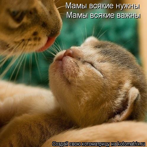 Мамы всякие нужны Мамы всякие важны... Котоматрица: Мамы всякие нужны Мамы всякие важны