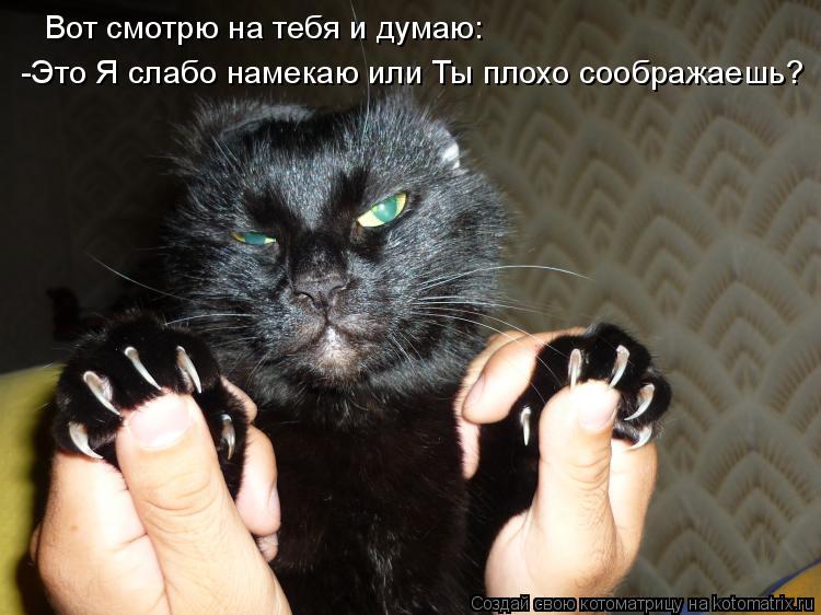 Вот смотрю на тебя и думаю: -Это Я слабо намекаю или Ты плохо соображаешь?... Котоматрица: Вот смотрю на тебя и думаю: -Это Я слабо намекаю или Ты плохо соображаешь?