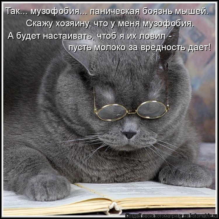 Так... музофобия... паническая боязнь мышей. Скажу хозяину, что у меня музофобия. А будет настаивать,... Котоматрица: Так... музофобия... паническая боязнь мышей. Скажу хозяину, что у меня музофобия. А будет настаивать, чтоб я их ловил - пусть молоко за вредност