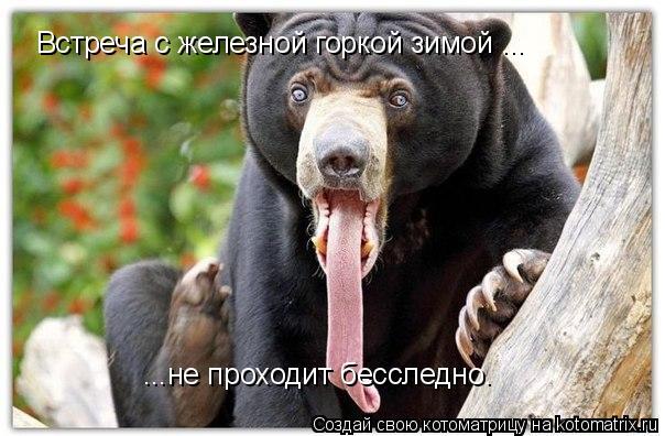 Встреча с железной горкой зимой ... ...не проходит бесследно.... Котоматрица: Встреча с железной горкой зимой ... ...не проходит бесследно.