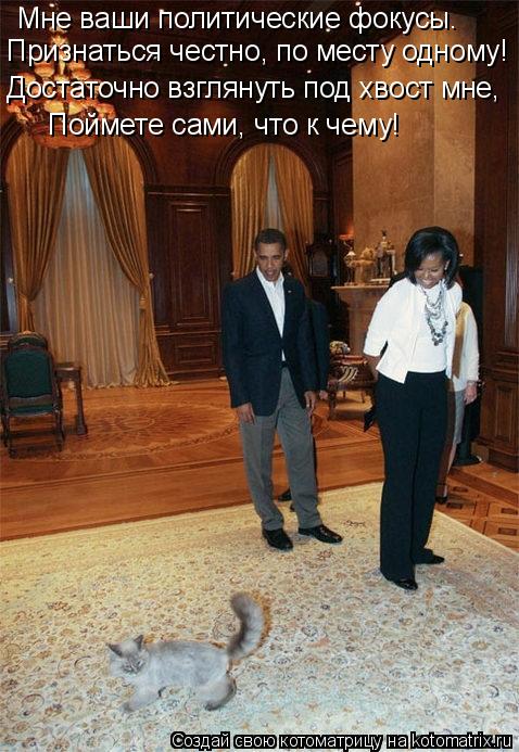 Мне ваши политические фокусы. Признаться честно, по месту одному! Достаточно взглянуть под хвост мне,... Котоматрица: Мне ваши политические фокусы. Признаться честно, по месту одному! Достаточно взглянуть под хвост мне, Поймете сами, что к чему!