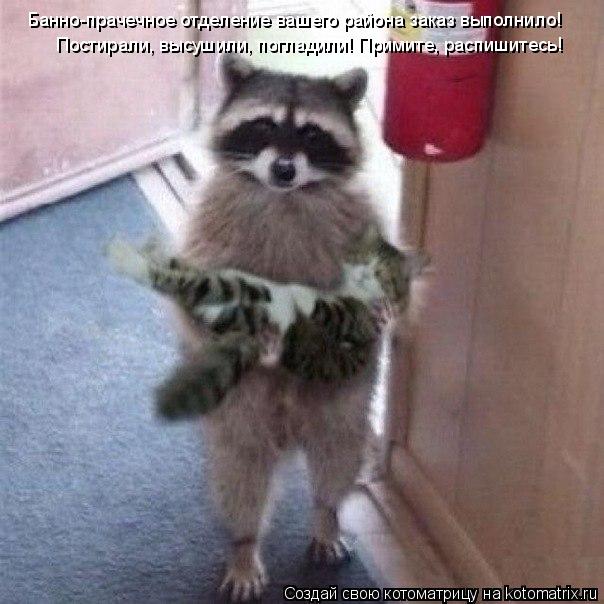 Банно-прачечное отделение вашего района заказ выполнило! Постирали, высушили, погладили! Примите, рас... Котоматрица: Банно-прачечное отделение вашего района заказ выполнило! Постирали, высушили, погладили! Примите, распишитесь!
