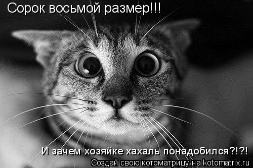 Сорок восьмой размер!!! И зачем хозяйке хахаль понадобился?!?!... Котоматрица: Сорок восьмой размер!!! И зачем хозяйке хахаль понадобился?!?!