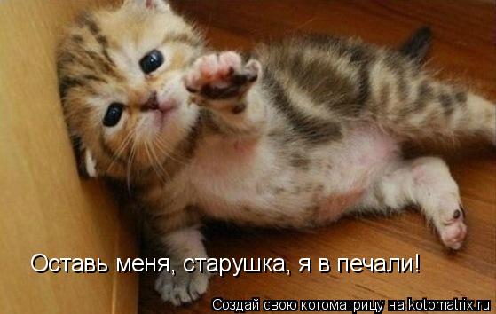 Оставь меня, старушка, я в печали!... Котоматрица: Оставь меня, старушка, я в печали!