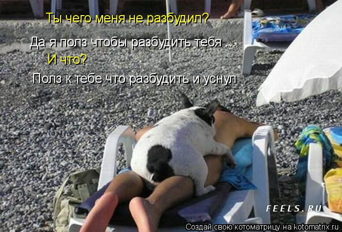 Ты чего меня не разбудил? Да я полз чтобы разбудить тебя ... И что? Полз к тебе что разбудить и уснул... Котоматрица: Ты чего меня не разбудил? Да я полз чтобы разбудить тебя ... И что? Полз к тебе что разбудить и уснул