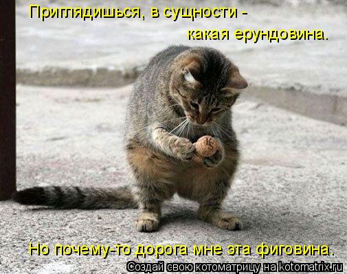 Приглядишься, в сущности - какая ерундовина. Но почему-то дорога мне эта фиговина.... Котоматрица: Приглядишься, в сущности - какая ерундовина. Но почему-то дорога мне эта фиговина.