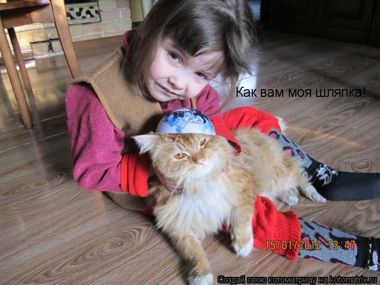 Как вам моя шляпка!... Котоматрица: Как вам моя шляпка!