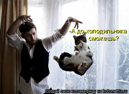 -А до холодильника сможешь?... Котоматрица: -А до холодильника сможешь?