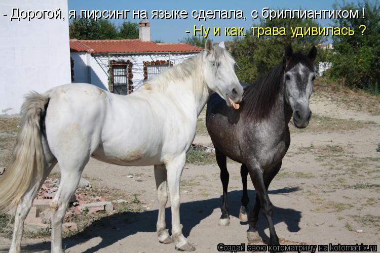 - Дорогой, я пирсинг на языке сделала, с бриллиантиком ! - Ну и как, трава удивилась ?... Котоматрица: - Дорогой, я пирсинг на языке сделала, с бриллиантиком ! - Ну и как, трава удивилась ?