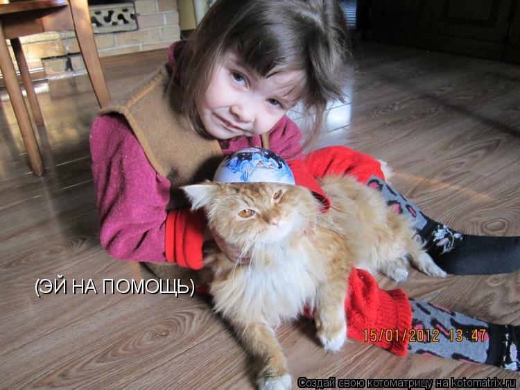 (ЭЙ НА ПОМОЩЬ)... Котоматрица: (ЭЙ НА ПОМОЩЬ)