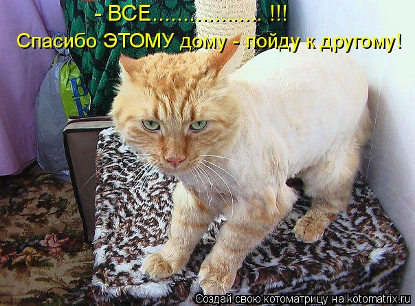 - ВСЕ.................. !!! Спасибо ЭТОМУ дому - пойду к другому!... Котоматрица: - ВСЕ.................. !!! Спасибо ЭТОМУ дому - пойду к другому!