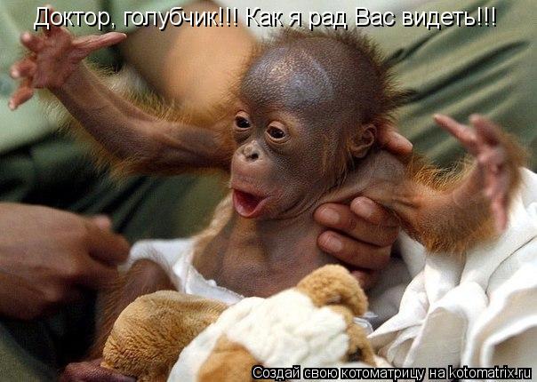 Доктор, голубчик!!! Как я рад Вас видеть!!!... Котоматрица: Доктор, голубчик!!! Как я рад Вас видеть!!!