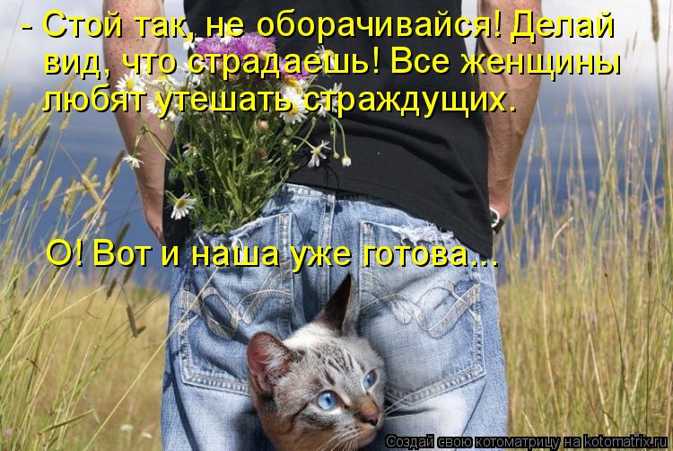 - Стой так, не оборачивайся! Делай вид, что страдаешь! Все женщины любят утешать страждущих. О! Вот ... Котоматрица: - Стой так, не оборачивайся! Делай вид, что страдаешь! Все женщины любят утешать страждущих. О! Вот и наша уже готова...