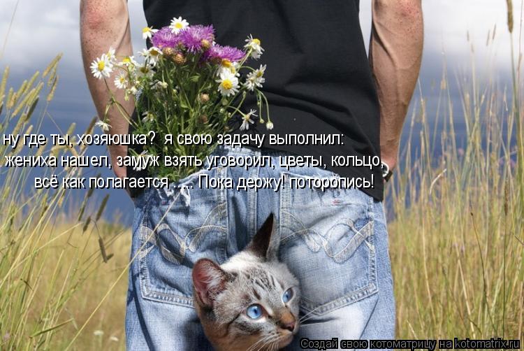 ну где ты, хозяюшка? я свою задачу выполнил: жениха нашел, замуж взять уговорил, цветы, кольцо, вс... Котоматрица: ну где ты, хозяюшка? я свою задачу выполнил: жениха нашел, замуж взять уговорил, цветы, кольцо, всё как полагается ..... Пока держу! поторопись