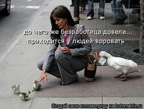 до чего же безработица довела... приходится у людей воровать... Котоматрица: до чего же безработица довела... приходится у людей воровать