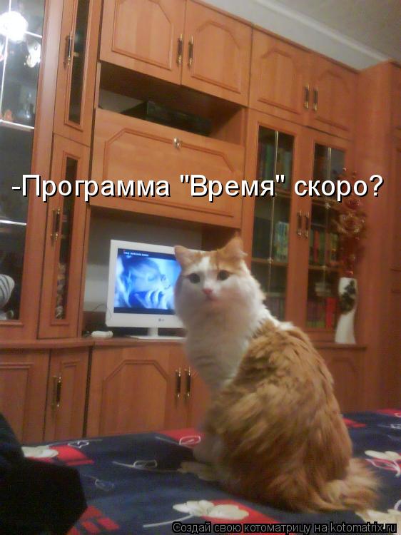 -Программа "Время" скоро?... Котоматрица: -Программа "Время" скоро?
