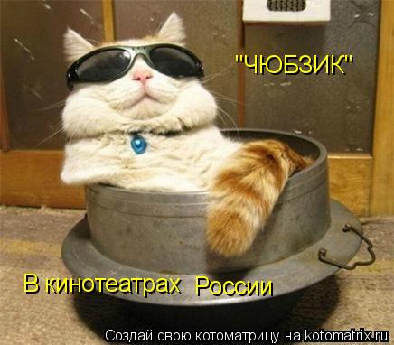 "ЧЮБЗИК" В кинотеатрах России... Котоматрица: "ЧЮБЗИК" В кинотеатрах России