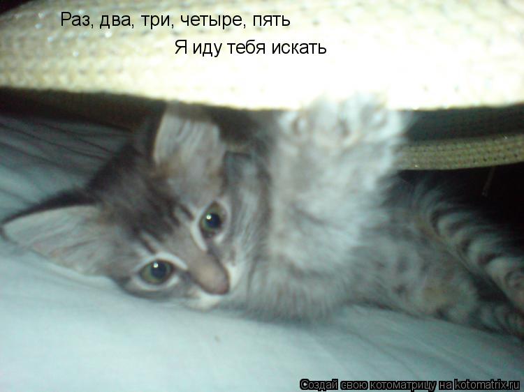 Раз, два, три, четыре, пять Я иду тебя искать... Котоматрица: Раз, два, три, четыре, пять Я иду тебя искать