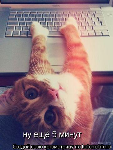 ну ещё 5 минут... Котоматрица: ну ещё 5 минут