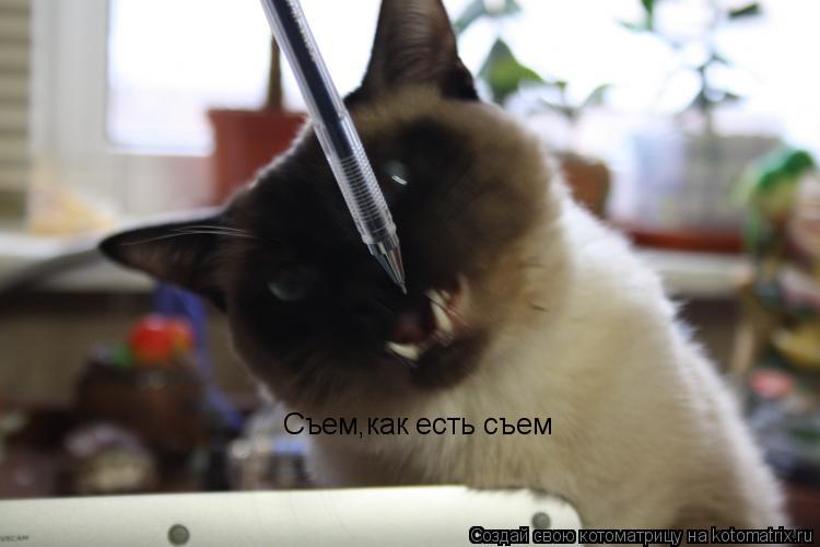 Съем,как есть съем... Котоматрица: Съем,как есть съем