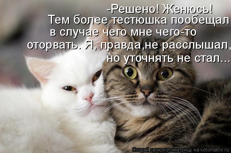 -Решено! Женюсь! Тем более тестюшка пообещал в случае чего мне чего-то оторвать. Я, правда,не рассл... Котоматрица: -Решено! Женюсь! Тем более тестюшка пообещал в случае чего мне чего-то оторвать. Я, правда,не расслышал, но уточнять не стал...