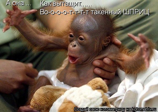 А она ... Как вытащит...... Во-о-о-о-т-т-т-т такенный ШПРИЦ... Котоматрица: А она ... Как вытащит...... Во-о-о-о-т-т-т-т такенный ШПРИЦ