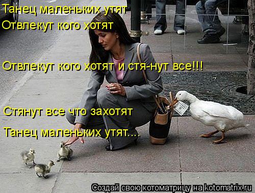 Котоматрица: Танец маленьких утят Отвлекут кого хотят Отвлекут кого хотят и стя-нут все!!! Стянут все что захотят Танец маленьких утят....