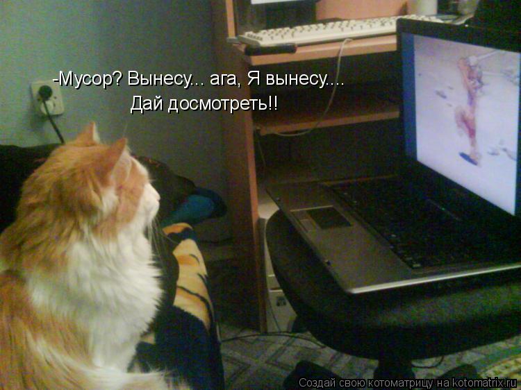-Мусор? Вынесу... ага, Я вынесу.... Дай досмотреть!!... Котоматрица: -Мусор? Вынесу... ага, Я вынесу.... Дай досмотреть!!