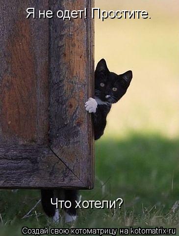 Я не одет! Простите. Что хотели?... Котоматрица: Я не одет! Простите. Что хотели?
