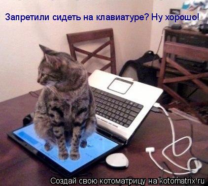 Запретили сидеть на клавиатуре? Ну хорошо!... Котоматрица: Запретили сидеть на клавиатуре? Ну хорошо!