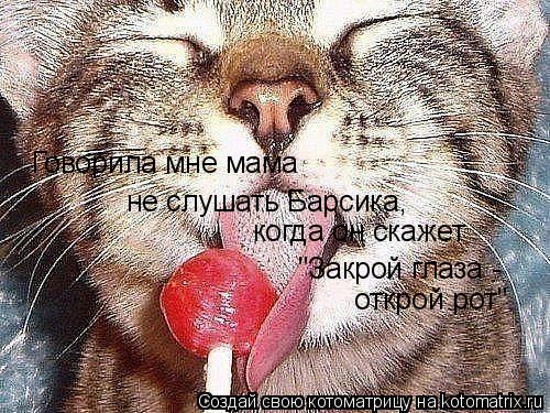 Котоматрица: не слушать Барсика,  Говорила мне мама  когда он скажет "Закрой глаза -  открой рот"