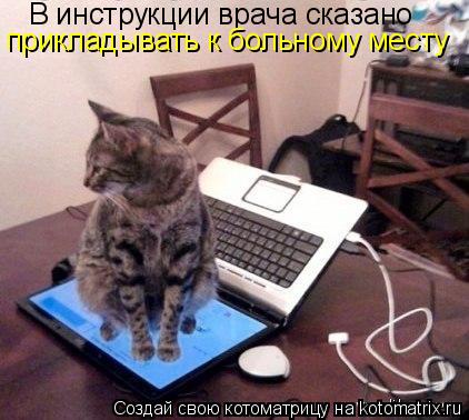 Котоматрица: В инструкции врача сказано прикладывать к больному месту