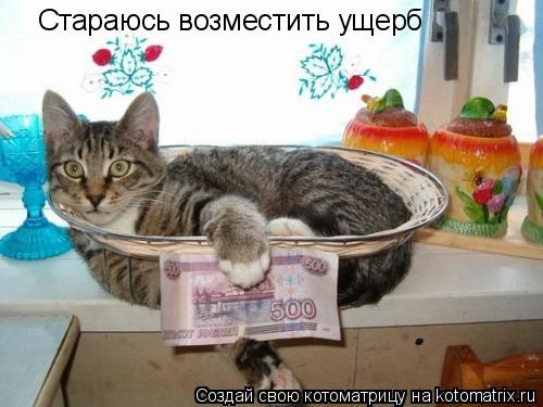 Котоматрица: Стараюсь возместить ущерб