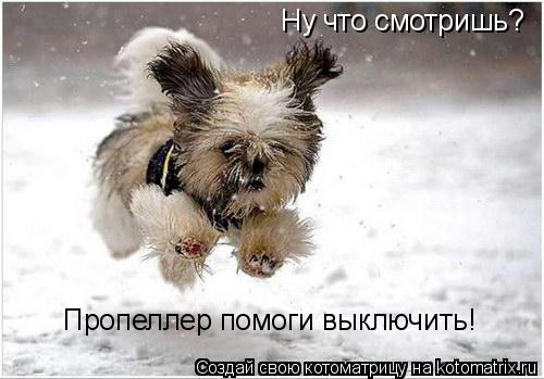 Котоматрица: Ну что смотришь? Пропеллер помоги выключить!