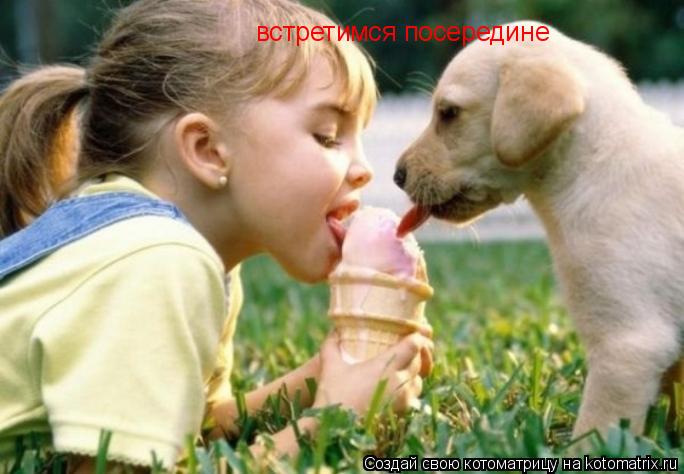 встретимся посередине... Котоматрица: встретимся посередине