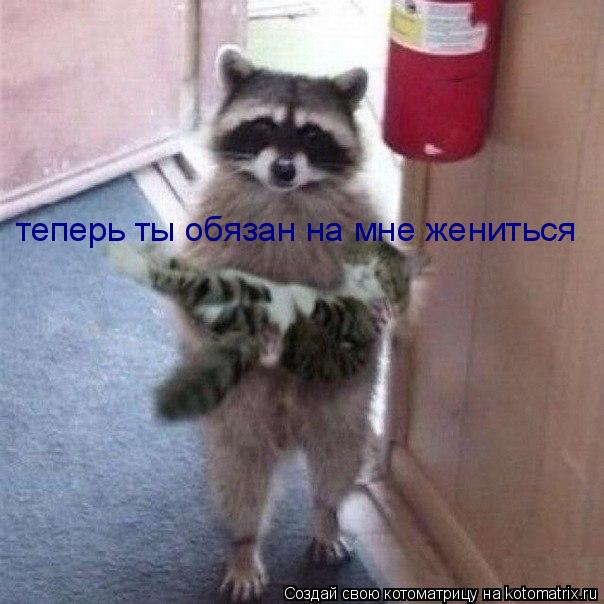 Котоматрица: теперь ты обязан на мне жениться