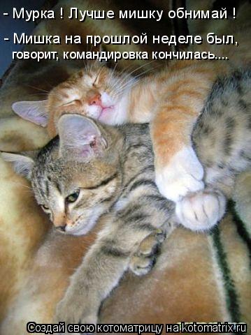 - Мурка ! Лучше мишку обнимай ! - Мишка на прошлой неделе был, говорит, командировка кончилась....... Котоматрица: - Мурка ! Лучше мишку обнимай ! - Мишка на прошлой неделе был, говорит, командировка кончилась....