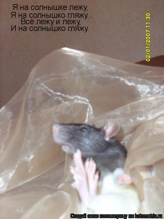 Я на солнышке лежу, Я на солнышко гляжу... Всё лежу и лежу, И на солнышко гляжу.... Котоматрица: Я на солнышке лежу, Я на солнышко гляжу... Всё лежу и лежу, И на солнышко гляжу.