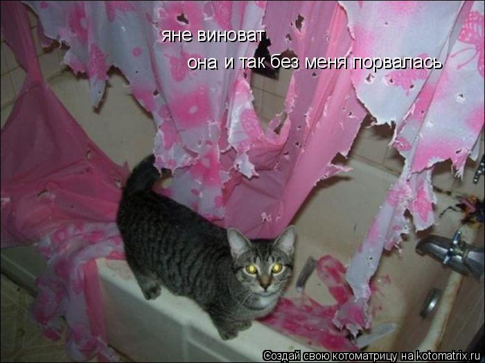 яне виноват она и так без меня порвалась... Котоматрица: яне виноват она и так без меня порвалась
