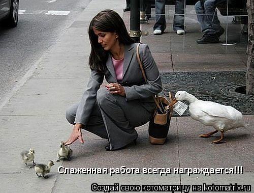 Слаженная работа всегда награждается!!!... Котоматрица: Слаженная работа всегда награждается!!!