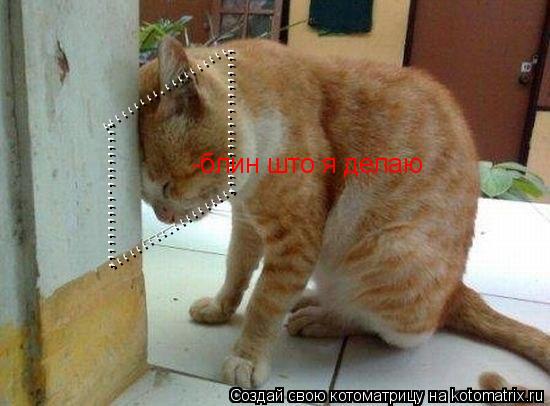 ,,,,,,,,,,.,,,,,,,,, ,,,,,,,,,,.,,,,,,,,, ,,,,,,,,,,.,,,,,,,,, ,,,,,,,,,,.,,,,,,,,, -блин што я делаю... Котоматрица: ,,,,,,,,,,.,,,,,,,,, ,,,,,,,,,,.,,,,,,,,, ,,,,,,,,,,.,,,,,,,,, ,,,,,,,,,,.,,,,,,,,, -блин што я делаю