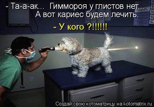 - Та-а-ак... Гиммороя у глистов нет... А вот кариес будем лечить. - У кого ?!!!!!!... Котоматрица: - Та-а-ак... Гиммороя у глистов нет... А вот кариес будем лечить. - У кого ?!!!!!!