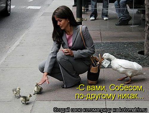 -С вами, Собесом, по-другому никак...... Котоматрица: -С вами, Собесом, по-другому никак...